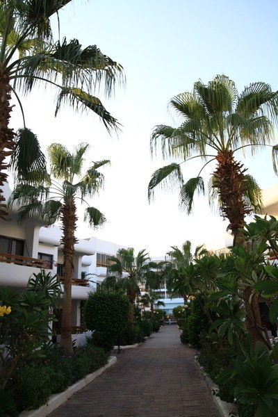 Dessole Marlin Hurghada