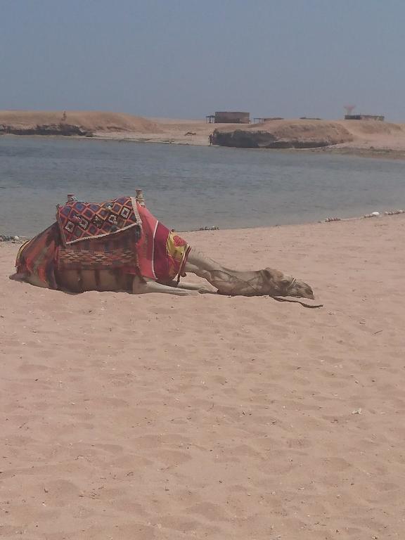 Sharm El Naga And Diving Center 3* Hurghada