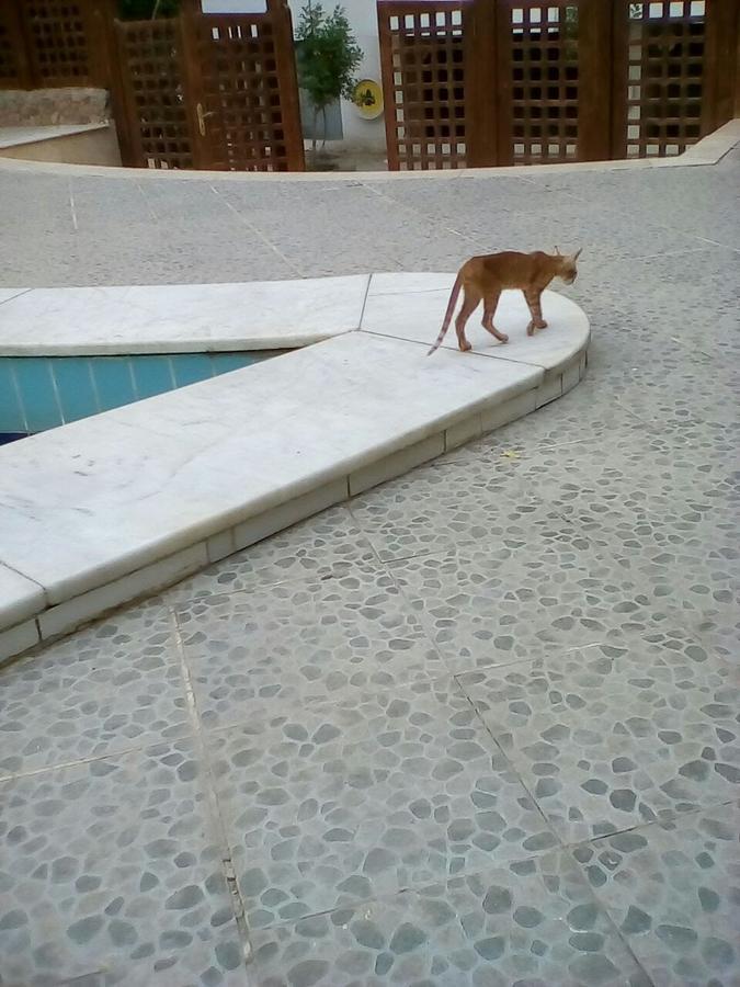 Residenz Suleder 1 Apartment Hurghada