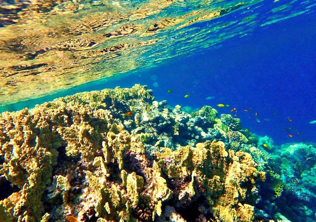 Sharm El Naga And Diving Center Camping
