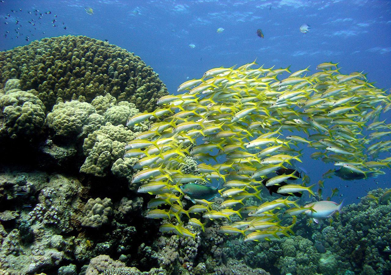 Sharm El Naga And Diving Center 3* Hurghada