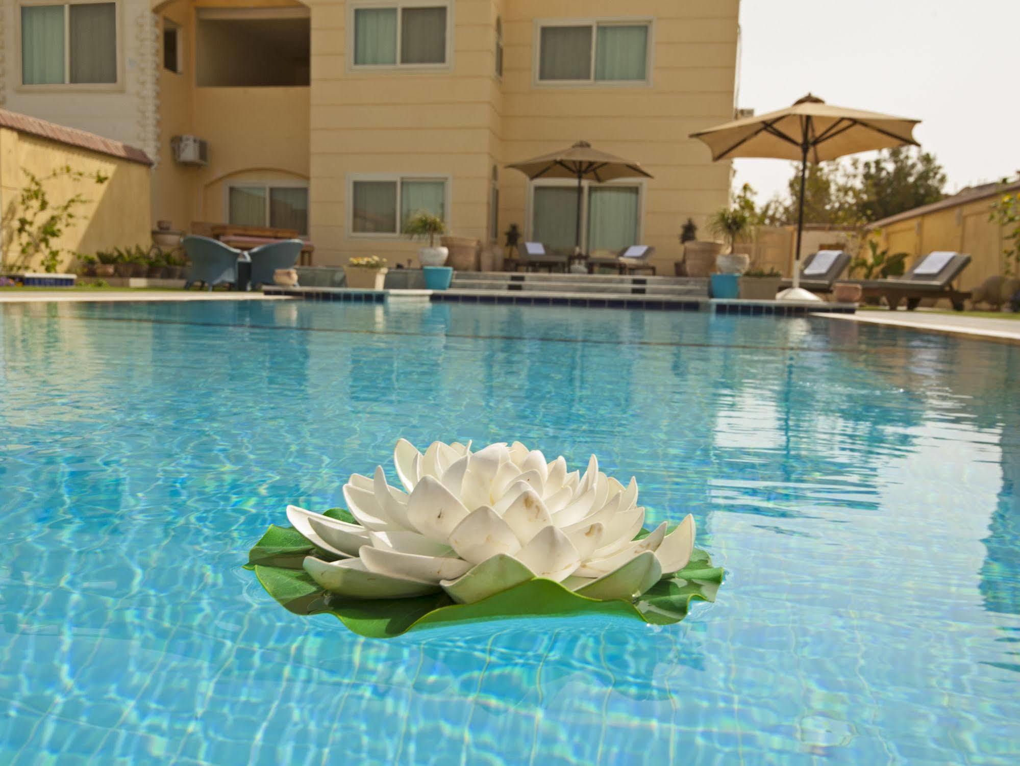 The View Appartement Hurghada