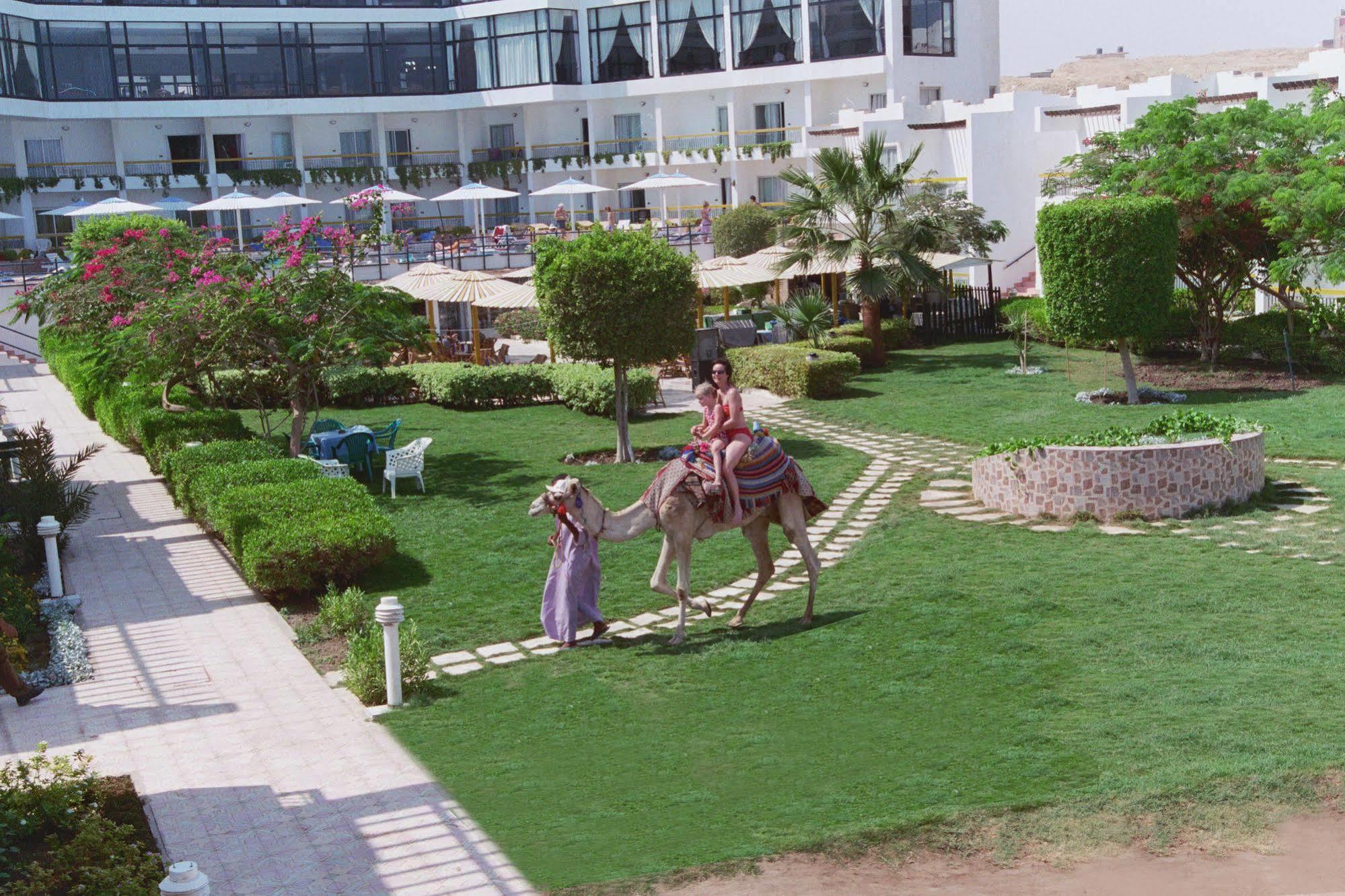 Beirut 3*