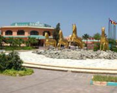 Golden 5 Diamond & Hurghada