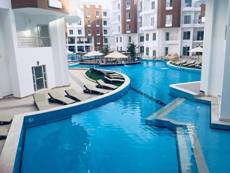 Aqua Palms