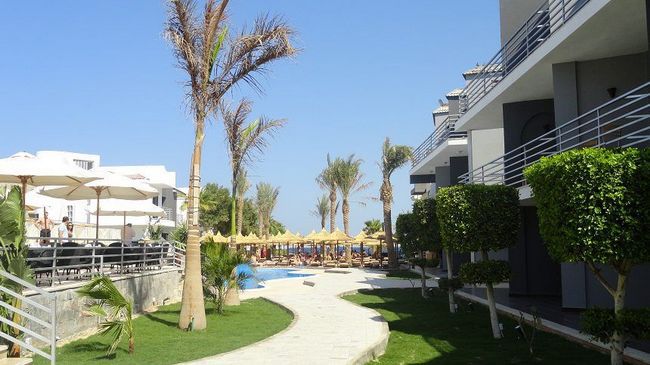 Premium Seagull Hotel