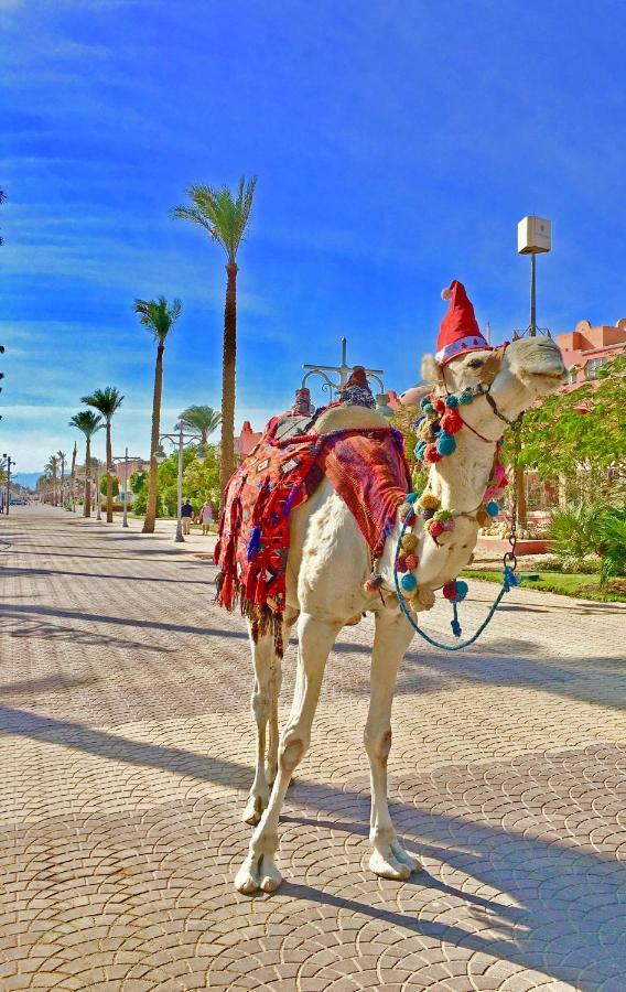 Villages Road * Hurghada