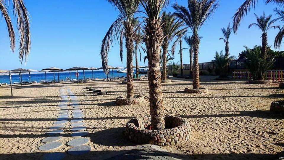 Exoticky Hurghada