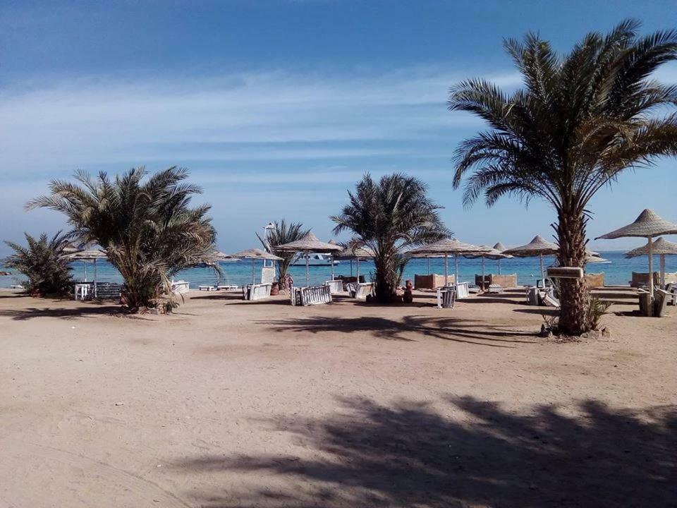 Eva Hurghada