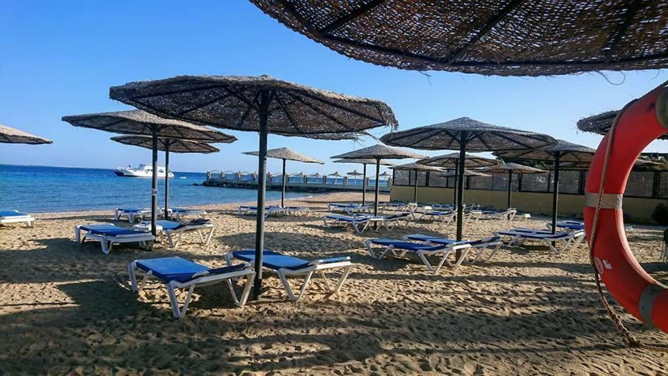 Exoticky * Hurghada