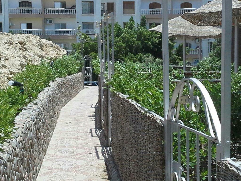 Green Garden Apartment