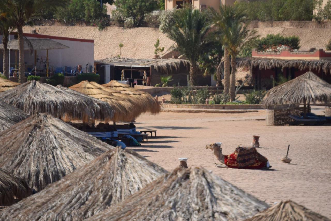 Camping Sharm El Naga And Diving Center Hurghada