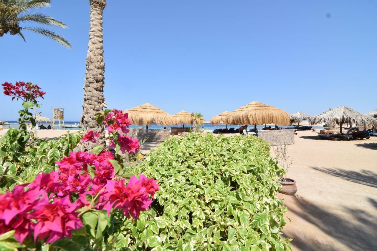 Sharm El Naga And Diving Center Hurghada