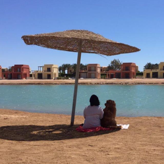 Apartment El Gouna - West Golf - Amazing Boutique