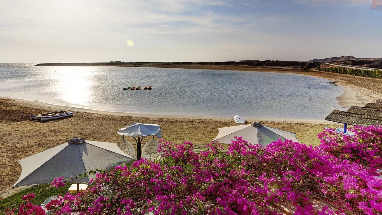 Tui Magic Life Kalawy Hotel
