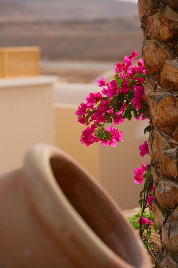 Hotel Tui Magic Life Kalawy Hurghada
