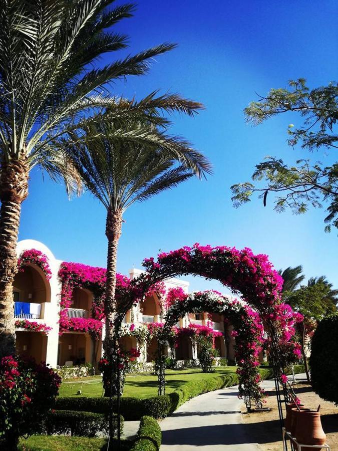 Tui Magic Life Kalawy Hurghada