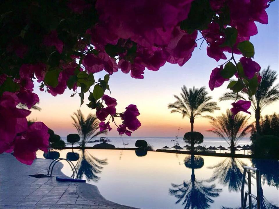 Tui Magic Life Kalawy Hotel 5*