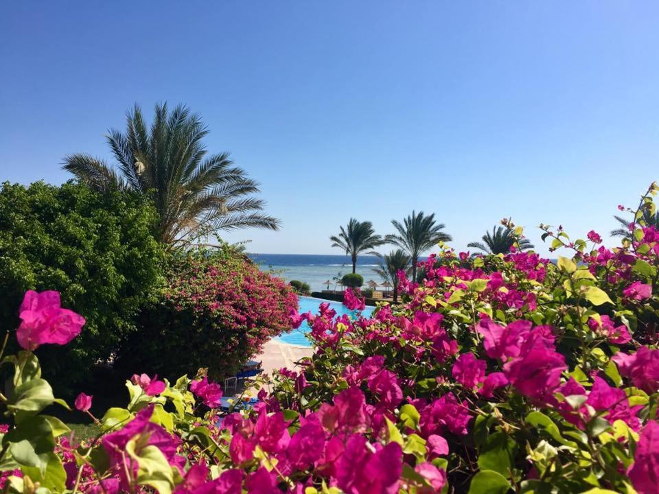 Tui Magic Life Kalawy Hurghada