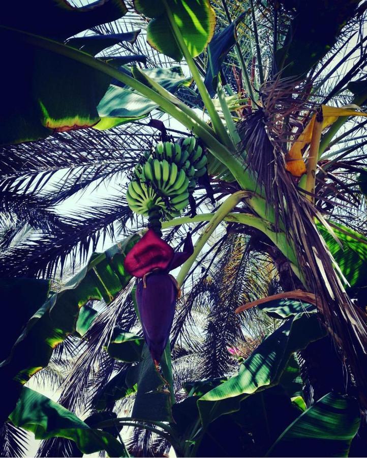Tui Magic Life Kalawy Hotel