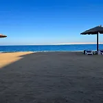 The Island View