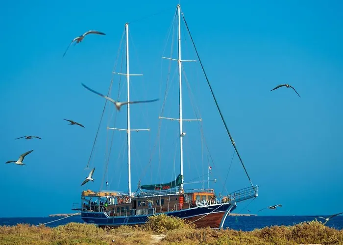 La Vela