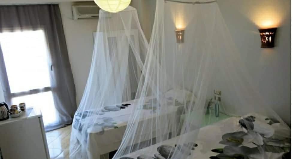 Diver House Cocoon Gasthof *