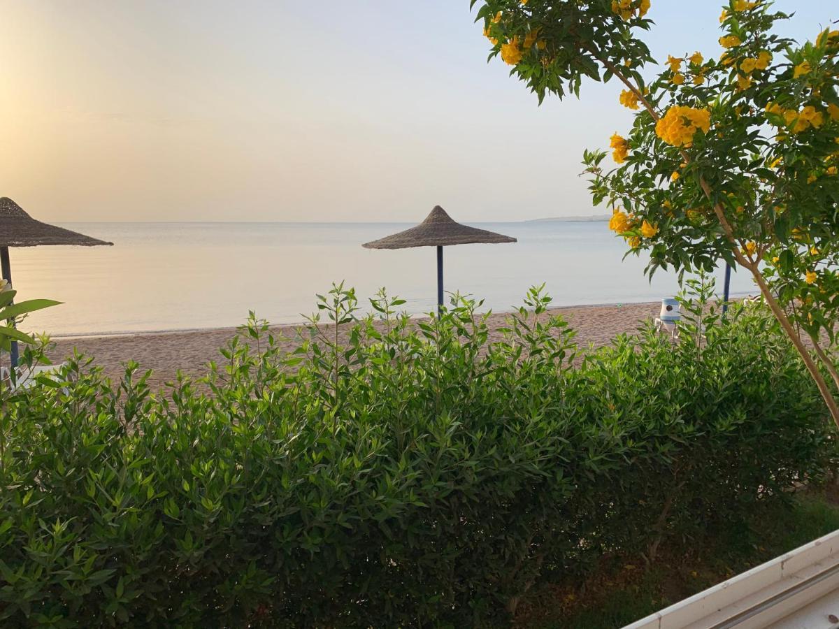 Furnished For Rent In Cecilia Hurghada