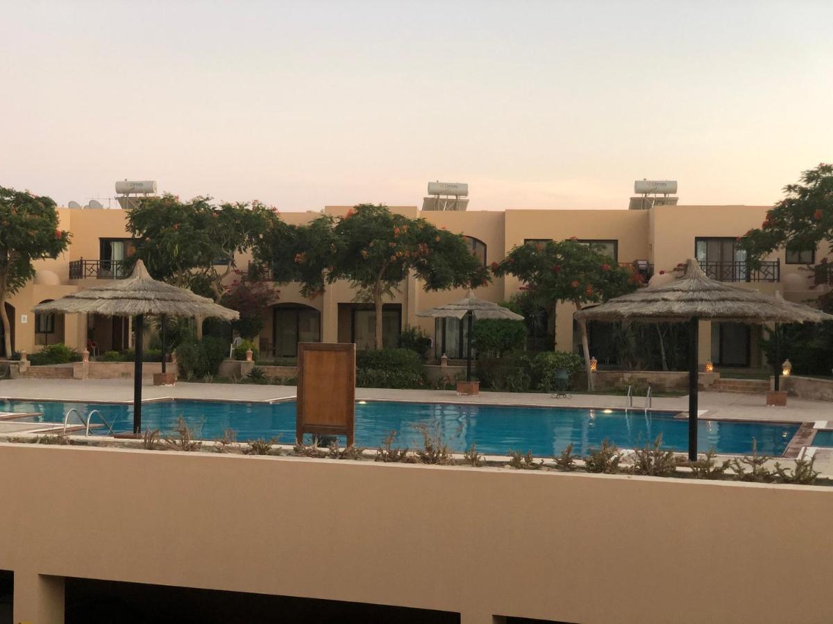 The View *