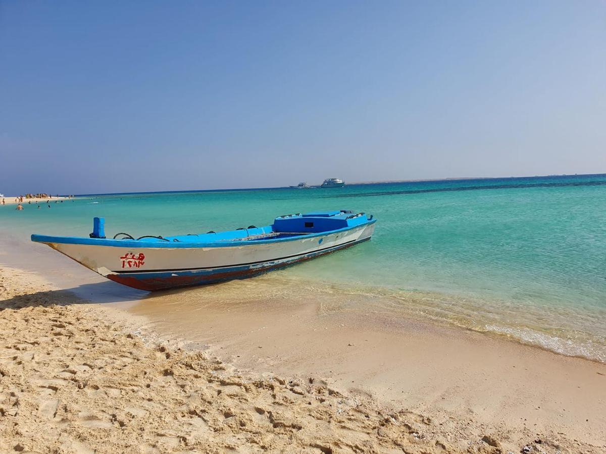 Appartement The New One Flat For Rent Egypt *