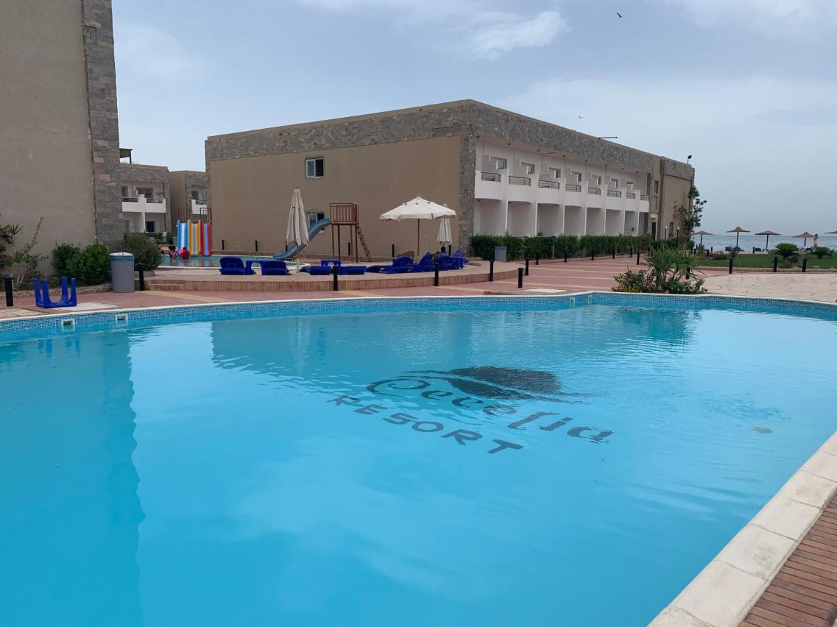 Chalet Furnished For Rent In Cecilia Hurghada
