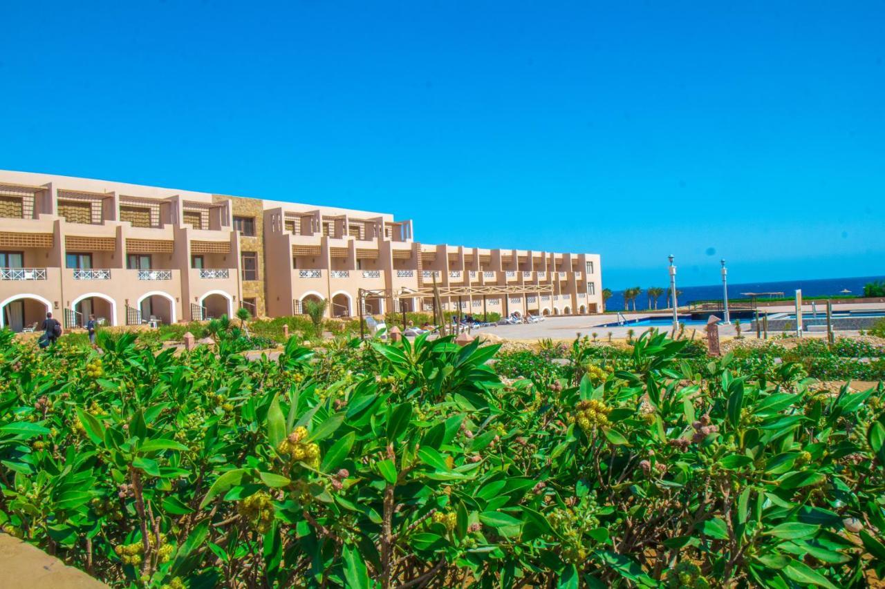 Resort Viva Blue And Diving Sharm El Naga (adults Only)