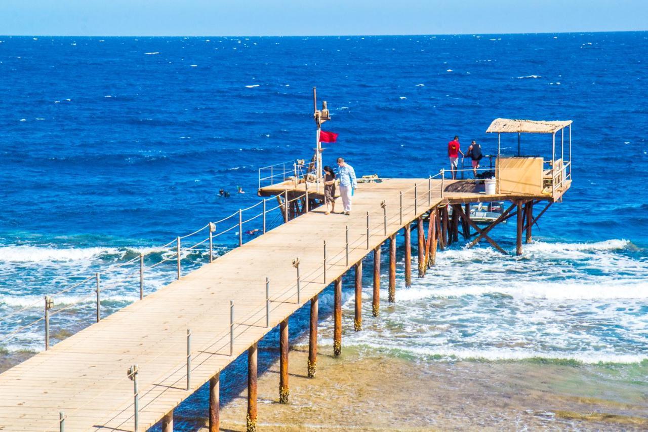 Viva Blue And Diving Sharm El Naga (adults Only) Resort 4*