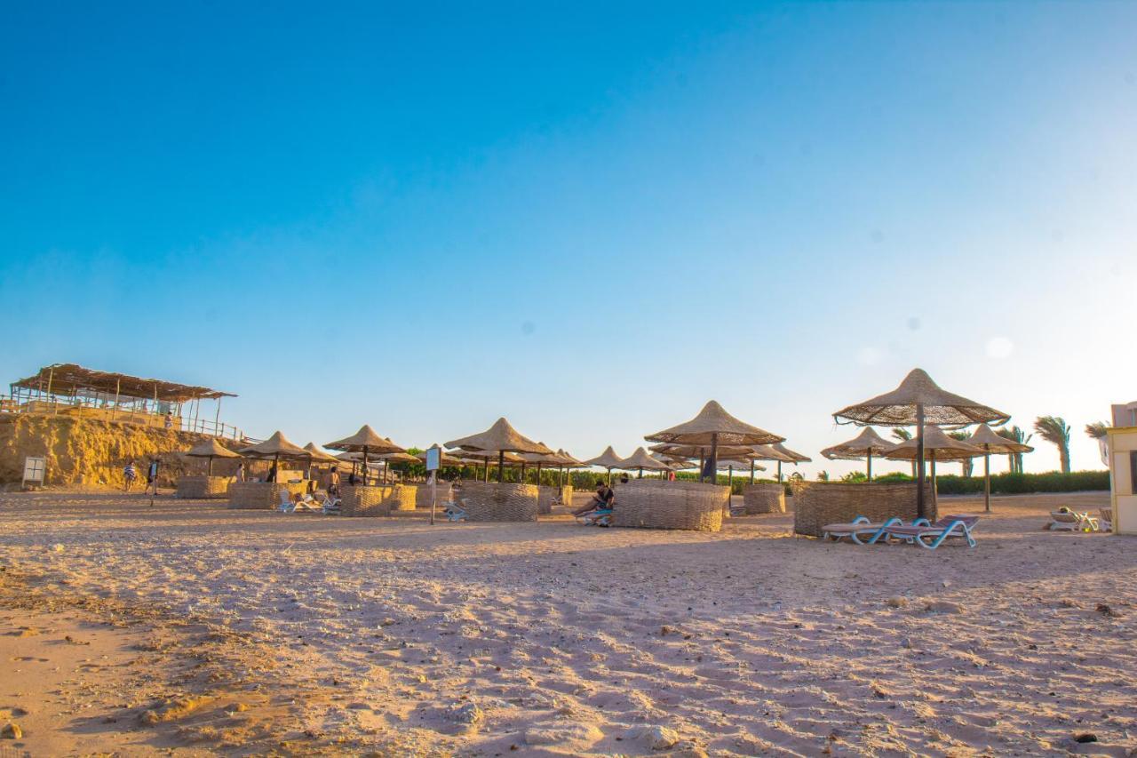 Viva Blue And Diving Sharm El Naga (adults Only) Resort 4*