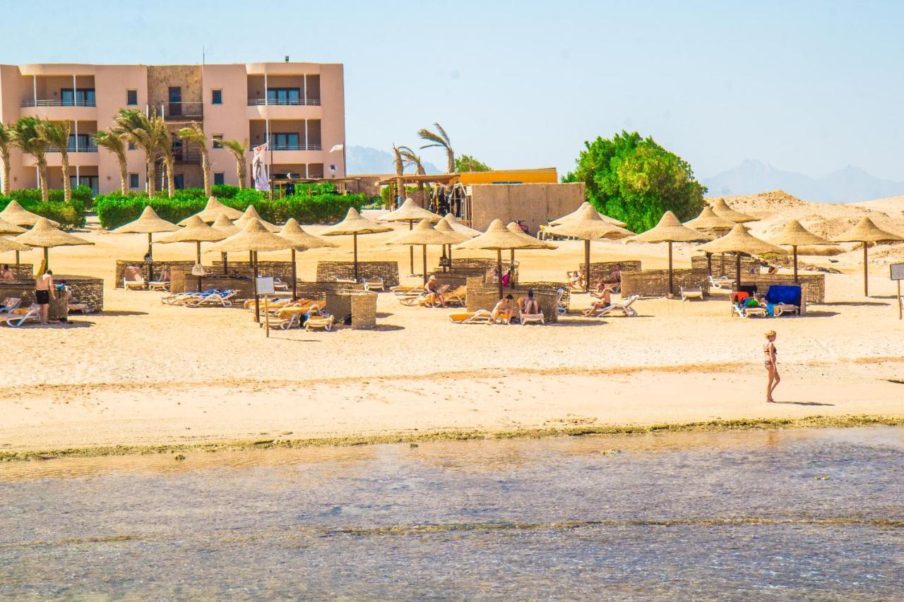 Viva Blue And Diving Sharm El Naga (adults Only) 4*