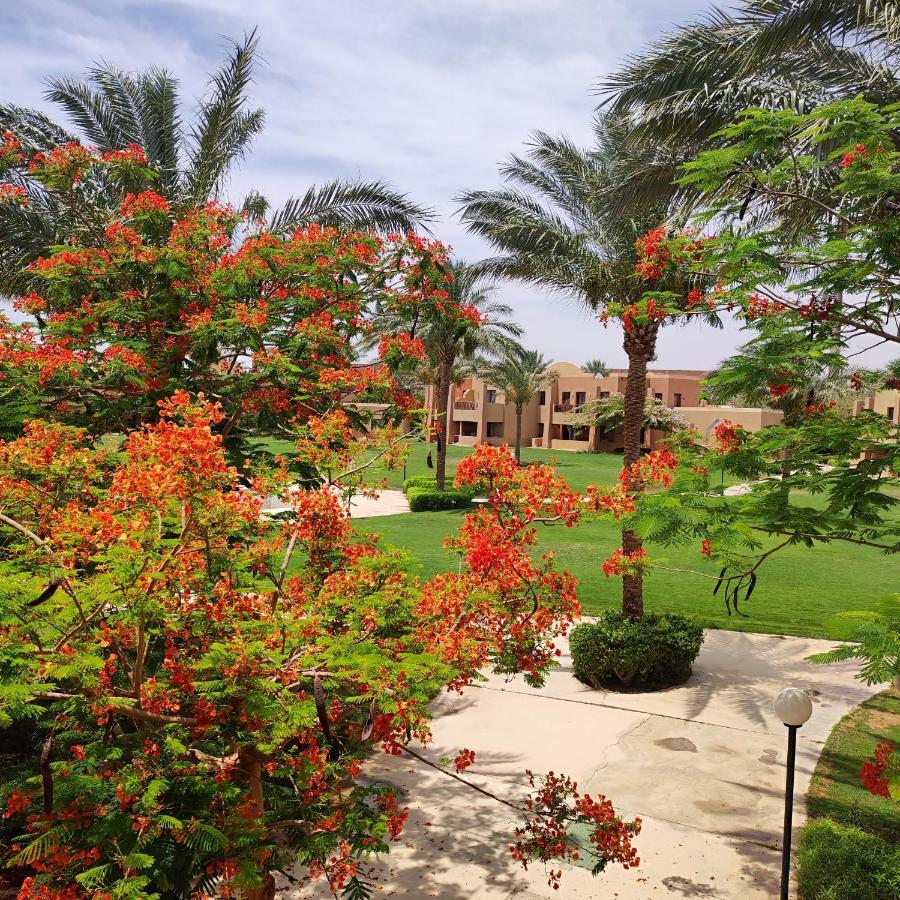 Apartment Stella Di Mare Makadi Bay *