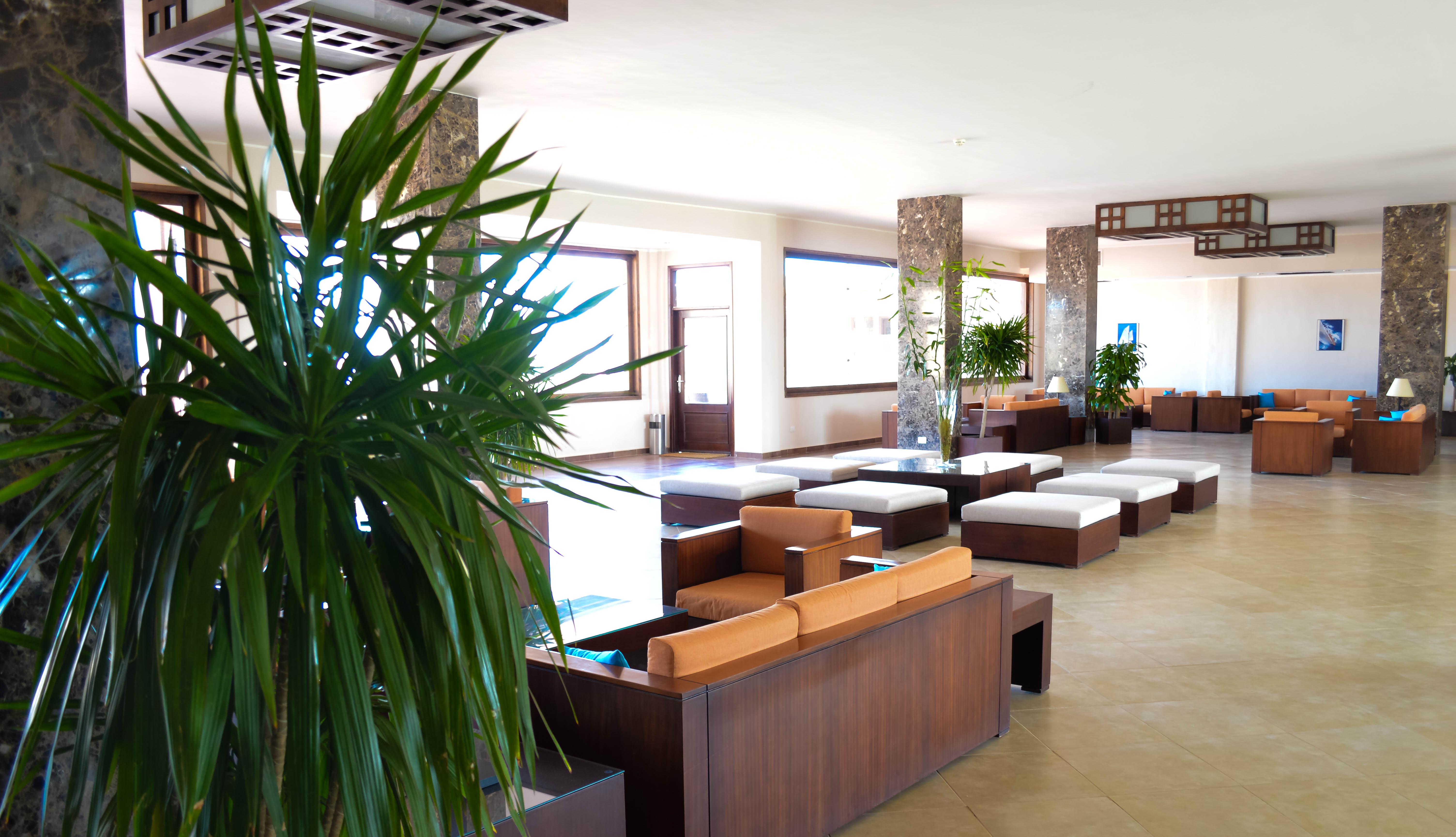 Resort Viva Blue And Diving Sharm El Naga (adults Only)
