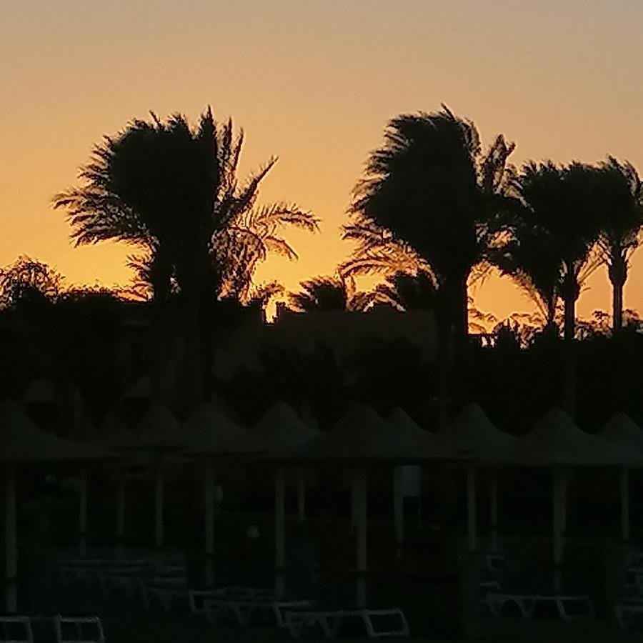 Apartment Stella Di Mare Makadi Bay Hurghada