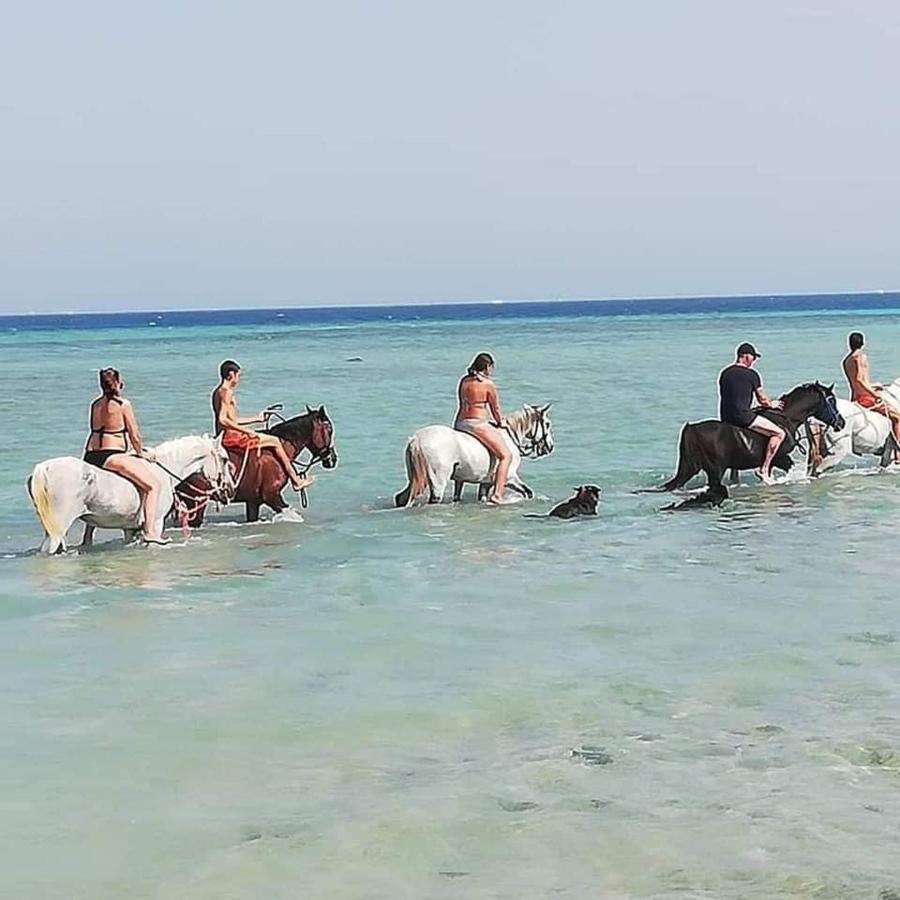 Hotel Selena Bay