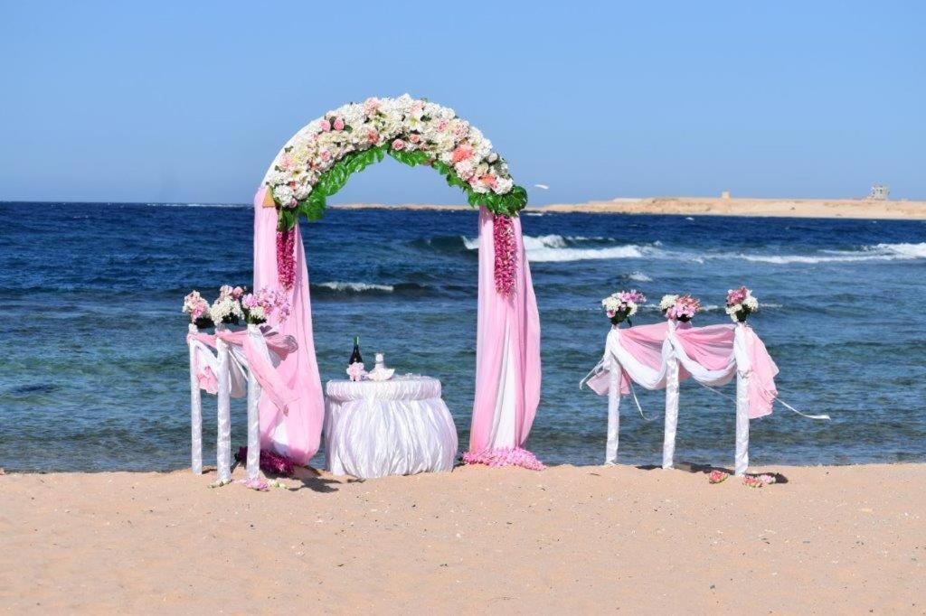 Viva Blue And Diving Sharm El Naga (adults Only) Resort