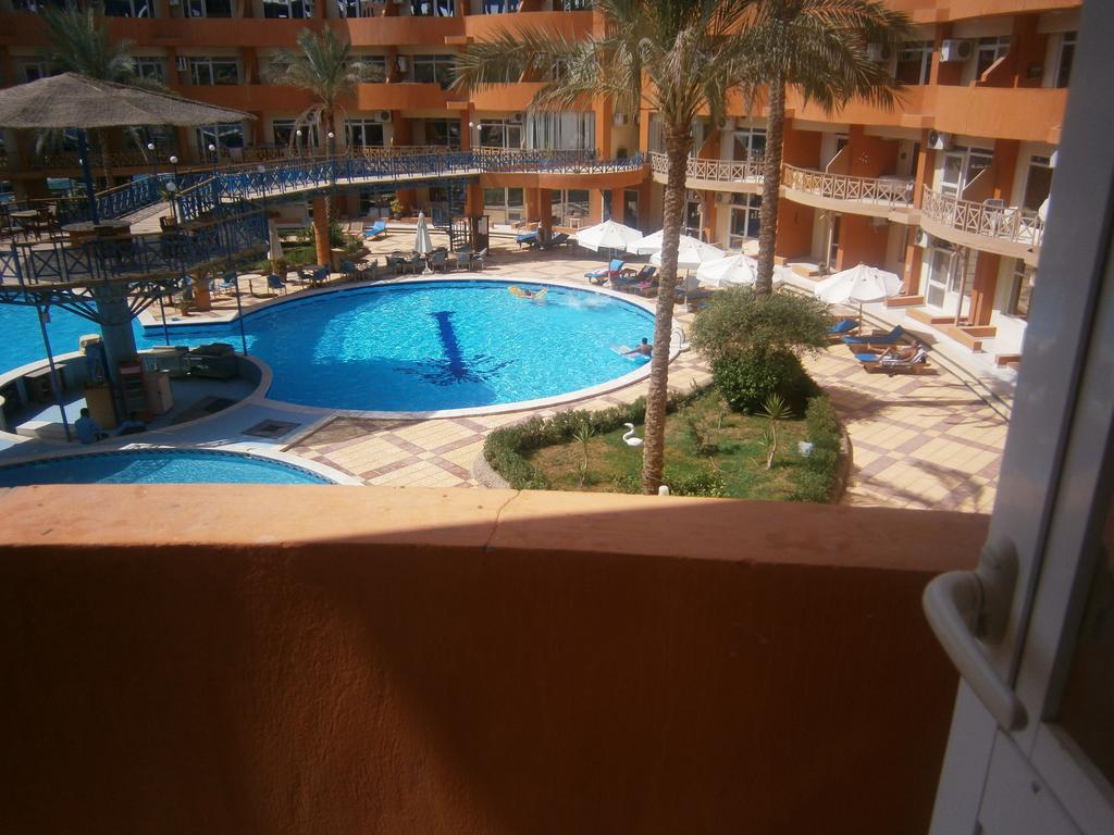 Oasis &