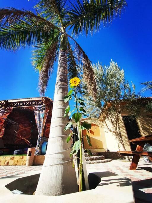 Golden Oasis Luxurious Private With Pool Villa Hurghada