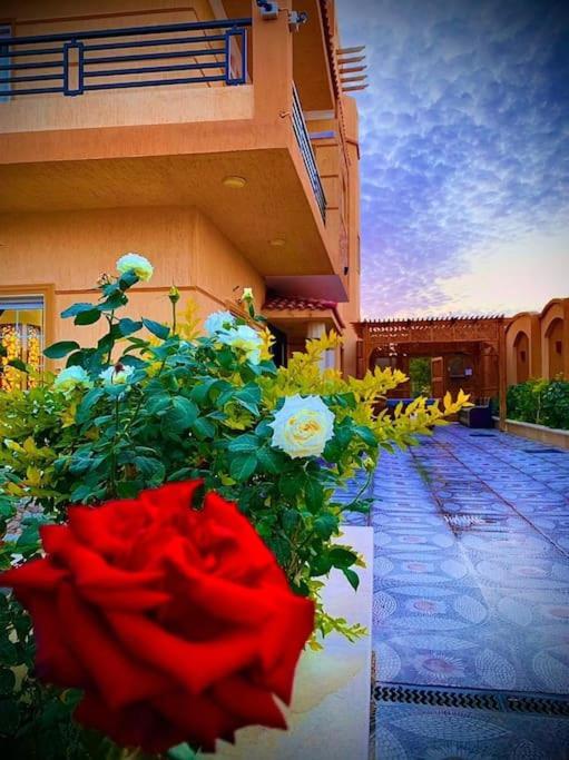 Golden Oasis Luxurious Private With Pool Villa Hurghada