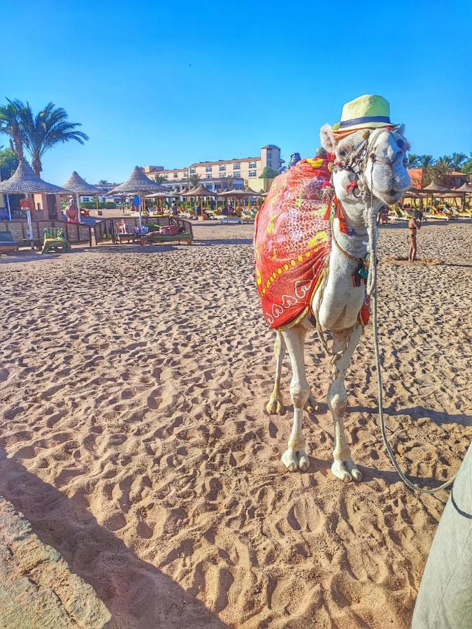 Aparthotel Andalus Hurghada