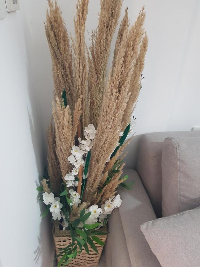Appartement استديو هادي بوسط المدينه