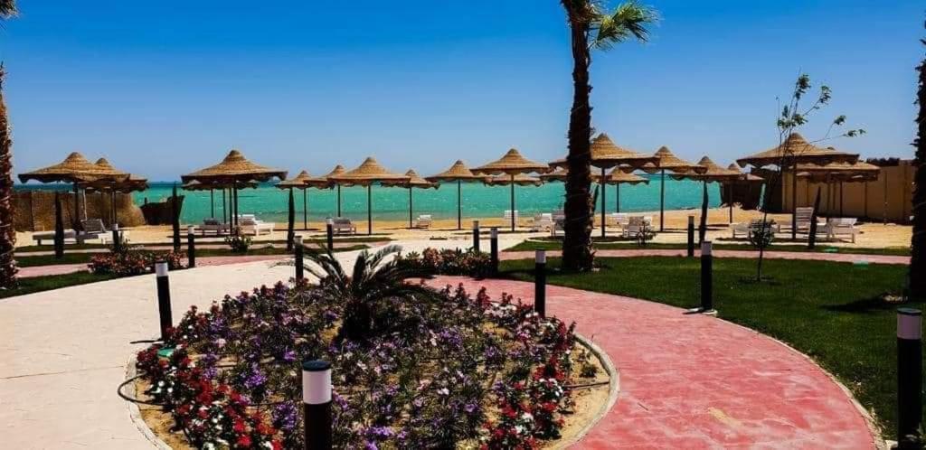 Casablanca Appartement *
