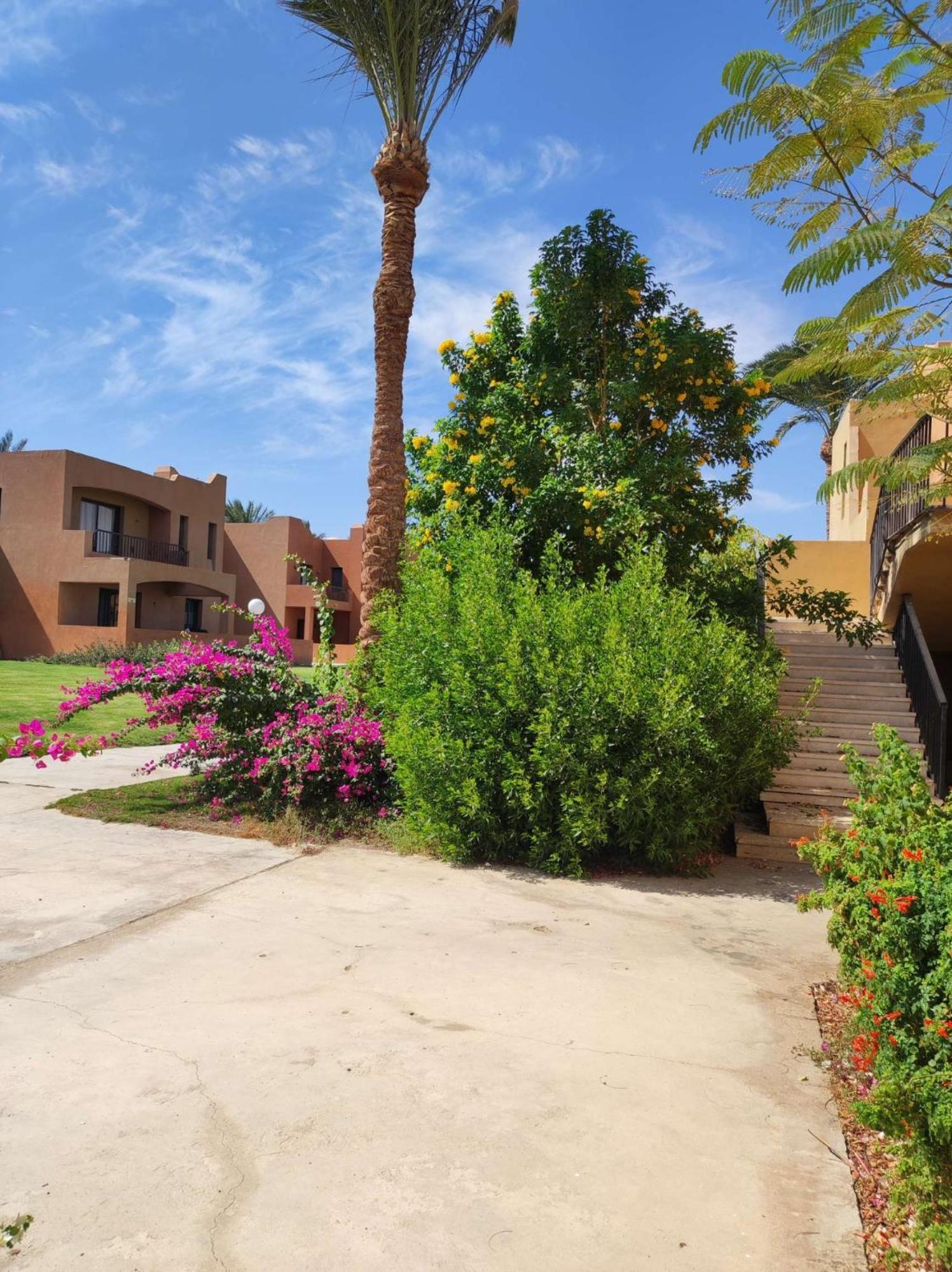 Apartamento Stella Makadi 5*