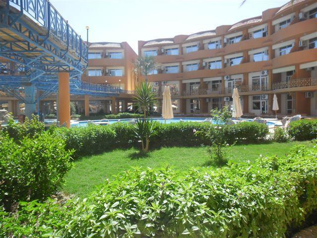 Oasis &
