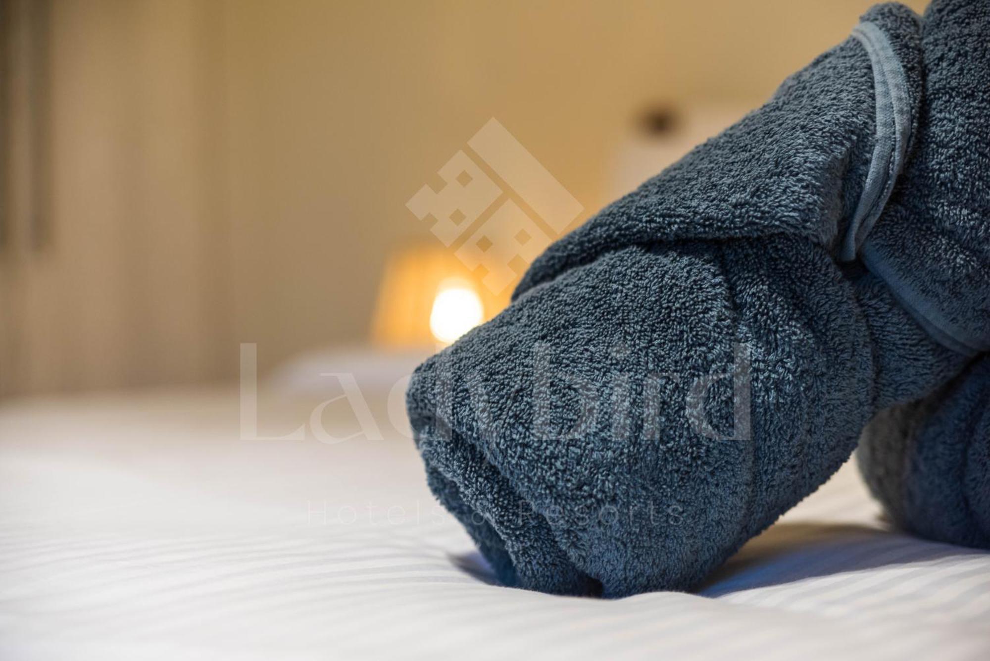 Apartamento Ladybird - Azzurra Beauty *