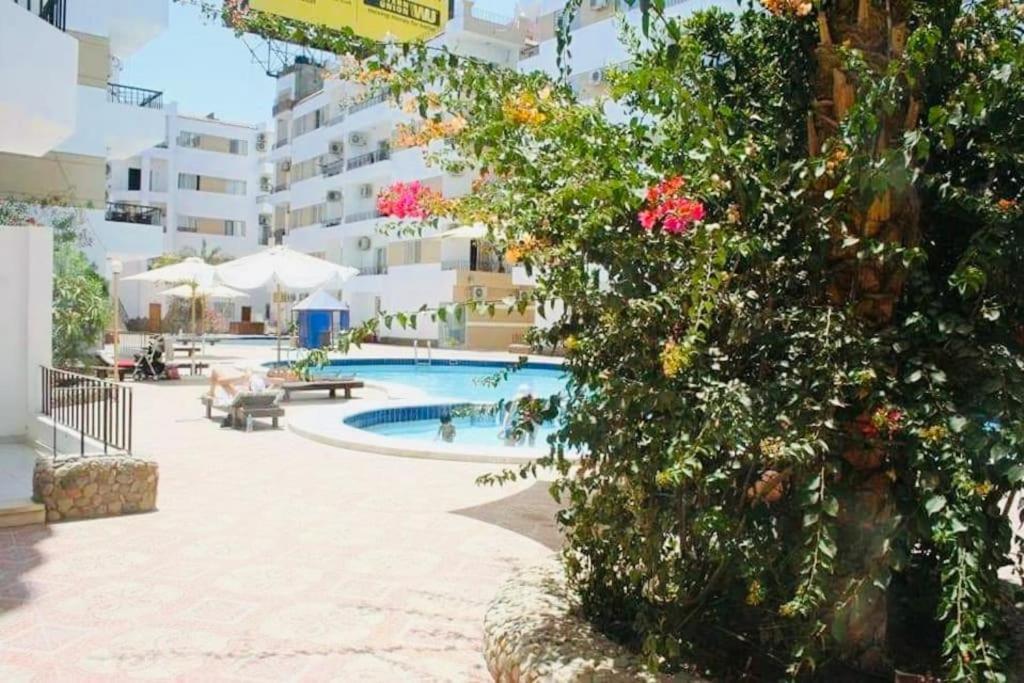 Lotus Elegant Pool View Hurghada